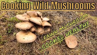 Cooking Wild Mushrooms the Fawn Mushroom Pluteus cervinus best ever way to cook this mushroom [upl. by Sellers]