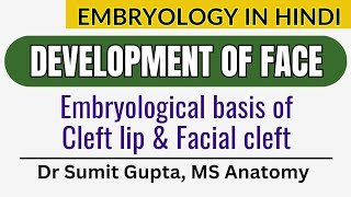 Development of Face  Cleft Lip  Embryology in Hindi [upl. by Vena581]