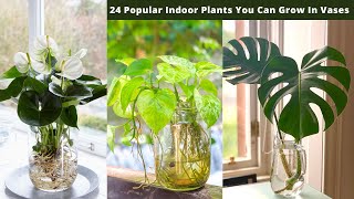 24 Popular Indoor Plants You Can Grow In Vases [upl. by Berlauda516]