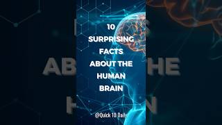 10 Surprising Facts About the Human Brain 🤯 Quick10Daily humanbrainfacts mindblowingfacts [upl. by Carli]