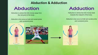 Year 9  Sports Science  Classification of joints and movements possible at different joints [upl. by Wilhelmina]