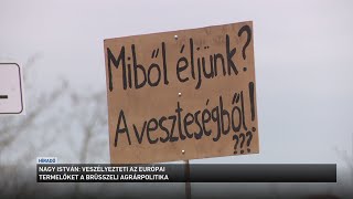 Veszélyezteti az európai termelőket a brüsszeli agrárpolitika [upl. by Cibis]