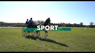 Lamotte Attelage 2023 J2  Sport [upl. by Filipe]