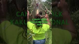 EXPERIENCE CANOPY WALK KAKUM NATIONAL PARK CAPE COAST GHANA [upl. by Hamford]