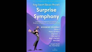 Surprise Symphony Woodwind Ensemble [upl. by Artap312]