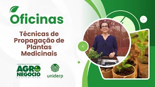 Técnicas de Propagação de Plantas Medicinais [upl. by Adlev854]