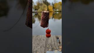 Карпфишинг fishing carpfishing carp рыбалка [upl. by Melinde93]