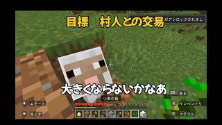 【マインクラフト】ノマシアの人生ハードモード【PART４村人からエメラルドいただきます】 [upl. by Perlie857]