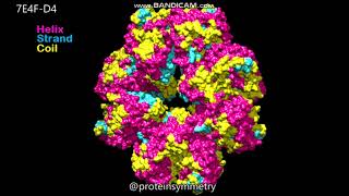 7E4F  Dihedral D4 symmetry  Molecular surfaces [upl. by Ahmed]