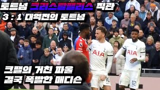 직관 VLOG 토트넘 크리스탈팰리스 직관 31대역전의 토트넘 [upl. by Vacuva]