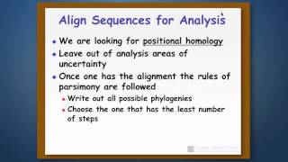 Phylogenetic Reconstruction Part 4  Reconstruction Using Molecular Characters [upl. by Nnaitsirk]