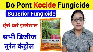 kocide fungicide uses  kocide 2000  copper hydroxide 538 DF  kocide 2000 dose  kocide dupont [upl. by Kcyrred640]