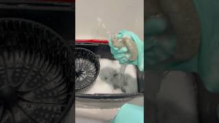 mop bucket clean 🫧 asmr cleantok explore explorepage fyp shorts satisfying [upl. by Hardy]