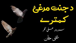 Da Janat Marghay Kamtari  Sardar Ali Takkar Ghazal  Ghani Poetry  سردار علی ٹکر [upl. by Miyasawa32]