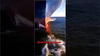 Dolphin swimming in front of ship facts sciencefacts [upl. by Nudnarb]