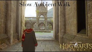 Walking through Hogwarts to The Owlery  Hogwarts Legacy Tour ambience [upl. by Yendor]