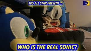 Who is Real Sonic [upl. by Morgen]