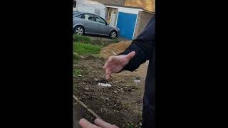 Bailiffs getting battered and owned in the uk compilation 1080p [upl. by Ingrid601]