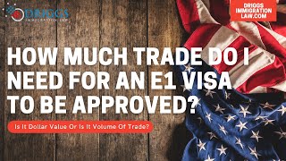 E1 Visa  How Much Trade Do I Need To Qualify [upl. by Yenalem623]