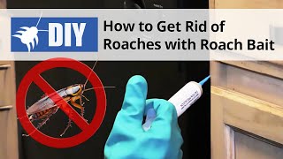 Roach Bait Treatment  How to Get Rid of Roaches  DoMyOwncom [upl. by Gnurt]