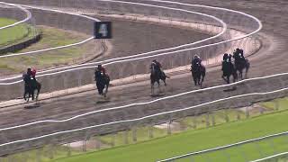 Heat 4  Eagle Farm Jumpouts 020224 [upl. by Marianna]