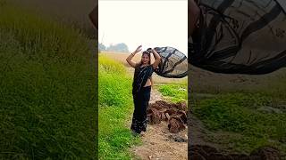 हमारी धनिया है हेरानीsuperhit dehati nach geettrending dance viralvideo [upl. by Ettenig]