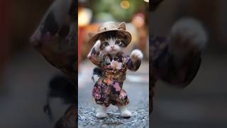 Kitten Dancing the Macarena with Joy [upl. by Jacquenette149]