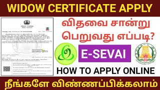 widow certificate online apply tamil  how to apply widow certificate in tamil  widow certificate [upl. by On]