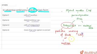 In adventive embryony embryo arises form [upl. by Heer]