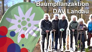 1250 Bäume fürs Klima  Baumpflanzaktion des DAV LandauPfalz [upl. by Camarata705]