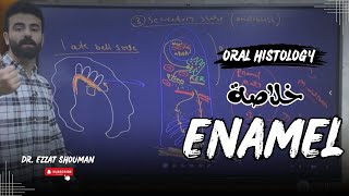 خلاصة شابتر ال enamel كامل  oral histology  عزت شومان [upl. by Lodnar147]