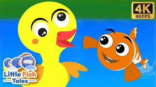 5 Little Ducks and Little Fish Songs  Little Fish Kids  fivelittleducks [upl. by Wera]