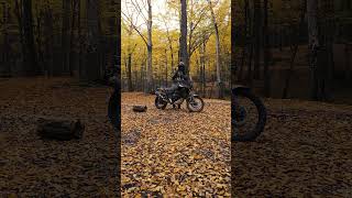 Tenere 700 World Raid  POV  4K  Engine Sound RideWithMe TTorque [upl. by Brown315]