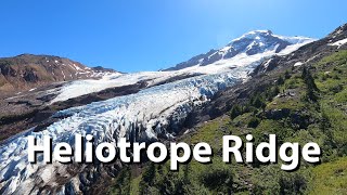 Hiking Heliotrope Ridge  Incredible Glacier Hike [upl. by Notlrac]