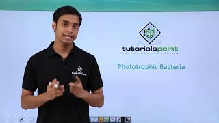 Class 11th – Kingdom Monera Nutrition  Phototrophic Bacteria  Tutorials Point [upl. by Novyart]