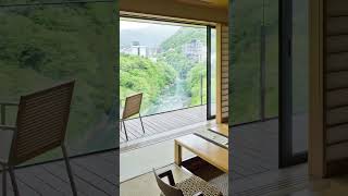 Top 5 Luxury Onsen Ryokans in Kinugawa Onsen Nikko Kinugawa kinugawaonsen JapanHotels ryokans [upl. by Aihsila502]