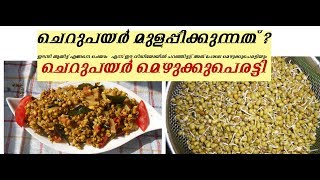 Cheru payar Mezukku perattyചെറുപയര്‍ തോരന്‍Greengram ThoranMung ThoranStir Fry Recipe 31 [upl. by Claudius]