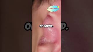 How Your Ears Hear  The Auditory System Explained facts languagediscovery detoxliver [upl. by Kristy934]