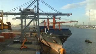 Two STS Cranes at work Port of Antwerp Timelapse made with a Gopro Hero [upl. by Eatnahs]