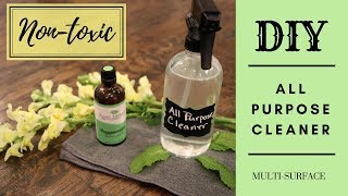 How to Make All Natural All Purpose Cleaner  DIY All Purpose Cleaner [upl. by Anuska169]