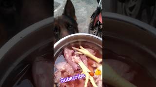 🍗 German Shepherd Diet gsd gsddiet shorts tranding petlover pets shortsvideo raw [upl. by Lamont]