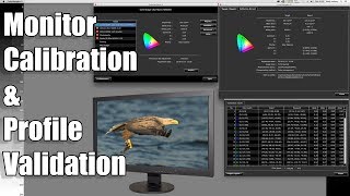 Monitor Calibration and Profile Validation [upl. by Sekyere]