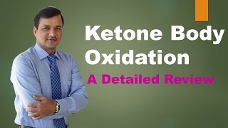 Ketolysis Pathway Ketone Bodies Oxidation [upl. by Kenzi]