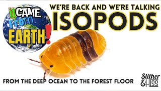 It Came From Earth Isopods [upl. by Lani735]