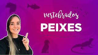 CORDADOS E PEIXES  ZOOLOGIA I Prof Louise Medeiros [upl. by Leanne]