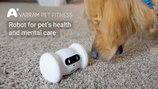 VARRAM Pet Robot A Smart Fitness Robot For Your Pet [upl. by Mukul]