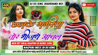 CHHALKEGAGRIYATORBHINJTHEANCHAL NETHETHNAGPURDJREMIXSONG2024 DJDSKINGJHARKHAND [upl. by Suiratnod612]