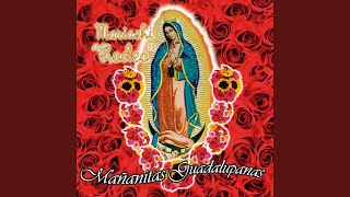 La Guadalupana [upl. by Airetahs445]