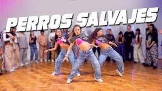 DADDY YANKEE  PERROS SALVAJES Official Video  Coreografía por Emir Abdul Gani [upl. by Analahs195]