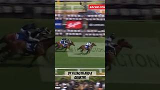 WAY TO GOOD G1 COOLMORE horseracing sporthorses horsesports automobile [upl. by Sivaj]